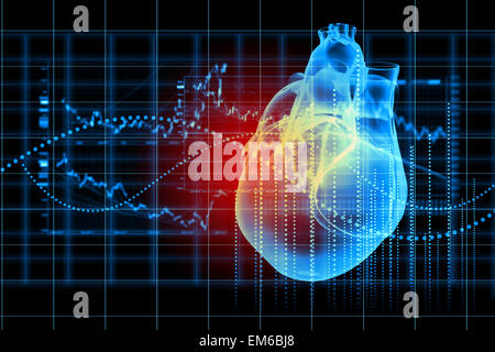 Cuore umano battiti Foto Stock