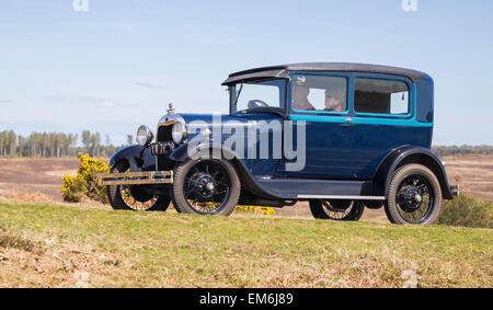 Un auto d'epoca competere nel Daffodil eseguire nella nuova foresta in una giornata di sole. Foto Stock