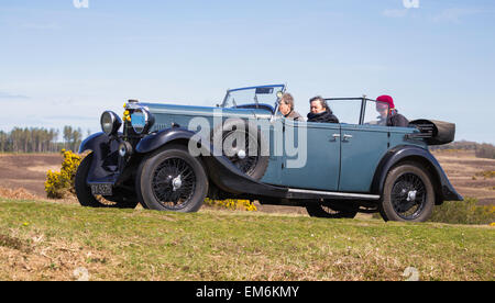 Un auto d'epoca competere nel Daffodil eseguire nella nuova foresta in una giornata di sole. Foto Stock