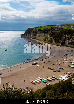 Vista guardando verso il basso sulla spiaggia di birra una piccola stazione balneare sulla South Devon Coast Inghilterra REGNO UNITO Foto Stock