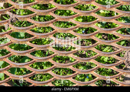 Vecchio traliccio arrugginito su un prato verde Foto Stock