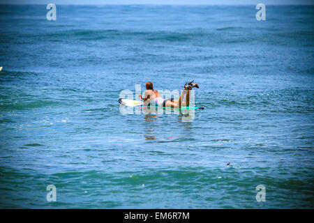 Surfer Girl le catture in onda tacchi alti. Foto Stock