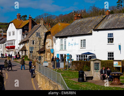 Edifici tradizionali nel centro di birra un piccolo centro balneare situato su South Devon Coast Inghilterra REGNO UNITO Foto Stock