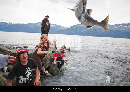 I bambini di cattura e di buttare il salmone sul cancello di accesso presso la Salomon Gulch incubatoio vicino a Valdez, Alaska. Foto Stock