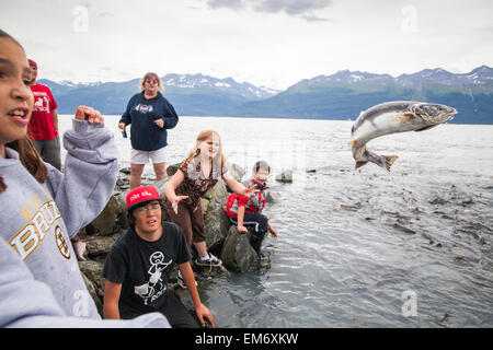 I bambini di cattura e di buttare il salmone sul cancello di accesso presso la Salomon Gulch incubatoio vicino a Valdez, Alaska. Foto Stock