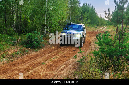 Gare su un rally-raid nella foresta di sera. Rally-raid Baha " Bielorussia " 2014 - primo giorno. Foto Stock