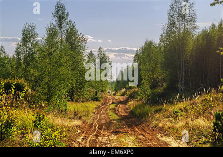 Gare su un rally-raid nella foresta di sera. Rally-raid Baha " Bielorussia " 2014 - primo giorno. Foto Stock