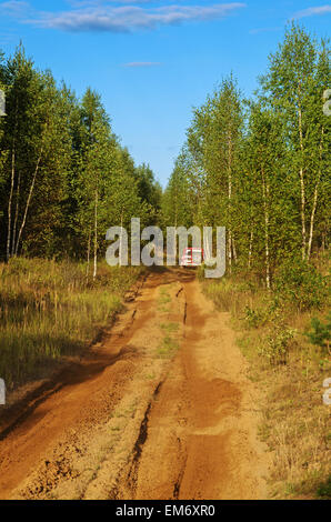 Gare su un rally-raid nella foresta di sera. Rally-raid Baha " Bielorussia " 2014 - primo giorno. Foto Stock