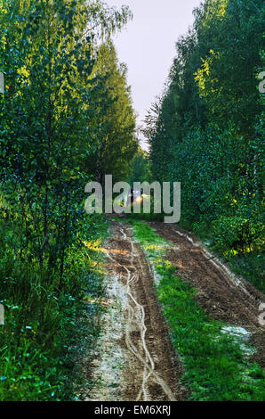 Gare su un rally-raid nella foresta di sera. Rally-raid Baha " Bielorussia " 2014 - primo giorno. Foto Stock