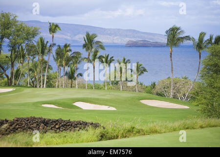 Hawaii Maui Wailea Gold Campo da Golf, Palme linea il corso, oltre oceano. Foto Stock