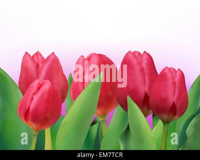 Tulipani colorati bouquet scheda Modello. EPS 8 Illustrazione Vettoriale