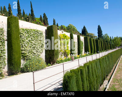 Generalife palace gardens, Alhambra di Granada, Spagna Foto Stock