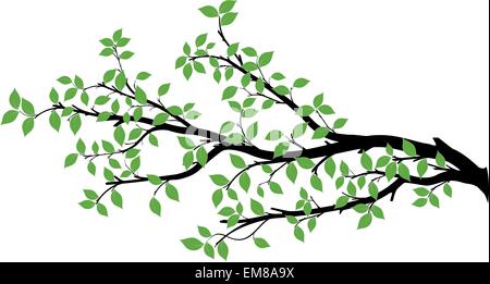 Ramo di albero illustrazione vettoriale su sfondo bianco Illustrazione Vettoriale