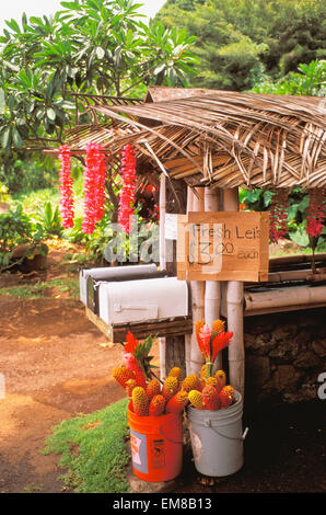 Hawaii Maui, Hana, con tetto in paglia Stand stradale con cassette postali Vendita di Lei, fiori di zenzero Foto Stock