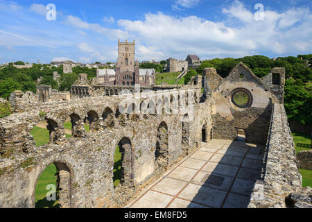 Palazzo dei Vescovi St Davids Cattedrale St Davids Pembrokeshire Wales Foto Stock