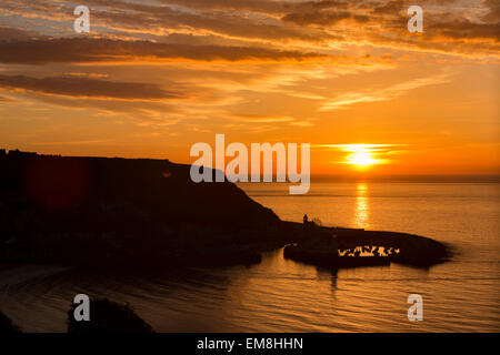 Regno Unito, Inghilterra, Yorkshire, Scarborough, la mattina presto, il sorgere del sole oltre il porto all'alba Foto Stock