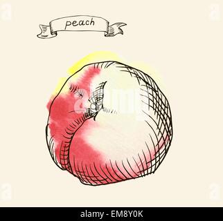 Disegnata a mano illustrazione di pesca Illustrazione Vettoriale