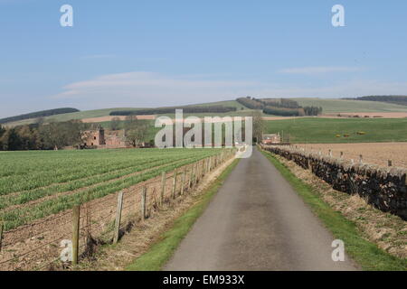 Strada per il castello edzell scozia aprile 2015 Foto Stock