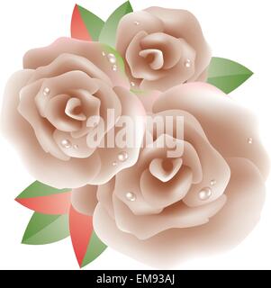 Rose Illustrazione Vettoriale