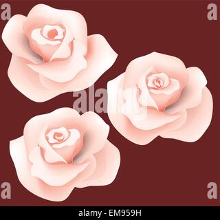 le rose hanno impostato Illustrazione Vettoriale