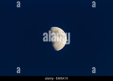 Half moon contro il cielo blu scuro che mostra i dettagli del cratere Foto Stock