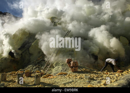 Miniere di zolfo Kawah Ijen, Java Orientale, Indonesia. Il minatore raccoglie zolfo nei fumi tossici i gas vulcanici nel cratere del vulcano. Foto Stock