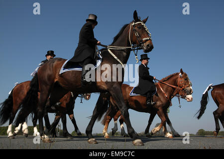 Pasqua piloti partecipare alla Pasqua cerimoniale corteo equestre nel villaggio Lusatian di Ralbitz vicino a Bautzen, Lusazia superiore, Foto Stock