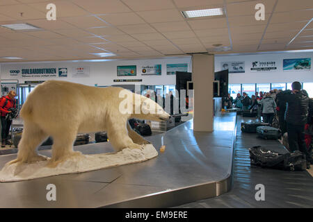 Farcite orso polare (Thalarctos maritimus) presso il reclamo bagagli in aeroporto delle Svalbard, Longyear, Spitsbergen, Norvegia Foto Stock
