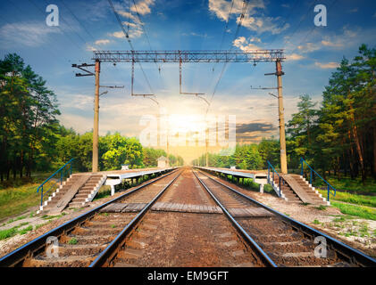 Scale in una stazione ferroviaria nella foresta Foto Stock