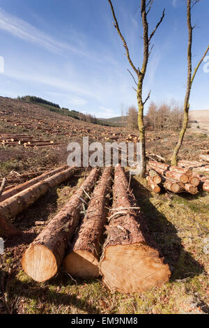 Paesaggio in Scozia highlands che mostra la registrazione e la produzione di legname. Foto Stock