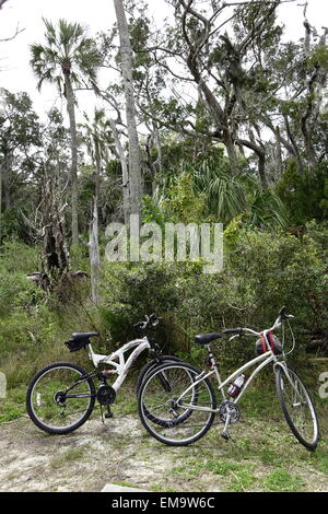 Le biciclette vicino a Salt Marsh sentieri, Chassahowitzka National Wildlife Refuge, Florida Foto Stock