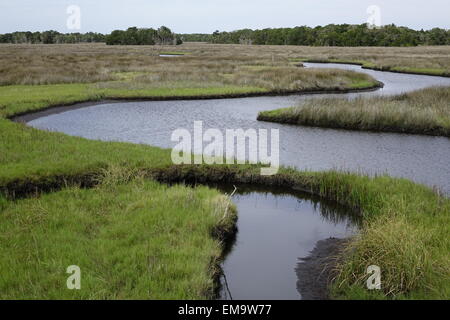 Salt Marsh, Chassahowitzka National Wildlife Refuge, Florida Foto Stock