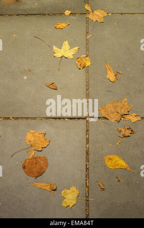 Foglie di autunno per formare un modello su pavimentazioni Foto Stock