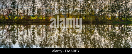 Bella riflessione di alberi nel fiume Tauber Foto Stock