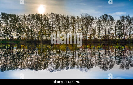 Bella riflessione di alberi nel fiume Tauber Foto Stock