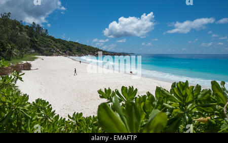 Petit Anse spiaggia tropicale, La Digue Island, Seicelle Foto Stock