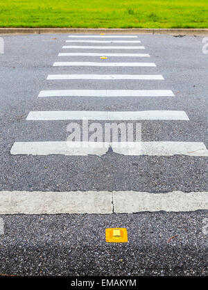 Modo di zebra sull'asfalto Foto Stock