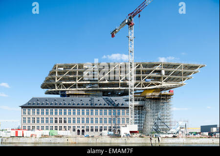 Belgio, Anversa, Nieuw Havenhuis Progettato da Zaha Hadid Foto Stock