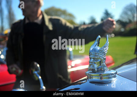 Migliaia frequentare il decimo orgoglio di Longbridge Rally con centinaia di veicoli che laminati della linea di produzione a Longbridge. La manifestazione annuale è un ricordo della fabbrica di Longbridge chiusura che è avvenuto nel mese di aprile del 2005 e ha portato nel 6000 lavoratori che perderanno il loro posto di lavoro. Credito: Jonny bianco/Alamy Live News Foto Stock