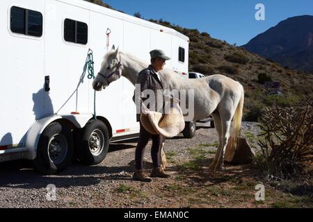 Ottenere pronto per posizionare il tampone sella sul mio cavallo arabo, New Mexico - USA Foto Stock