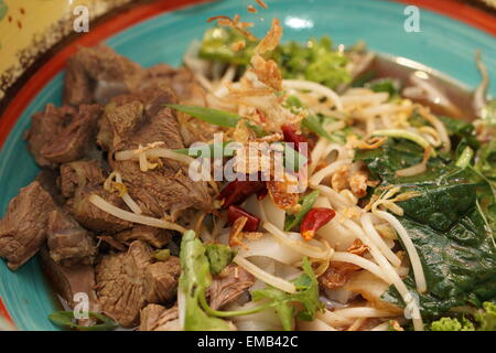 Colorate carne tailandese stir fry con verdure, peperoncino e scalogni Foto Stock