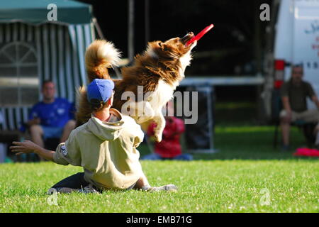 Luglio 27,2008, Praga, Repubblica Ceca. È la fine della CECA campionato nazionale nella Repubblica Ceca. Molti cani e mans ha mostrato Foto Stock