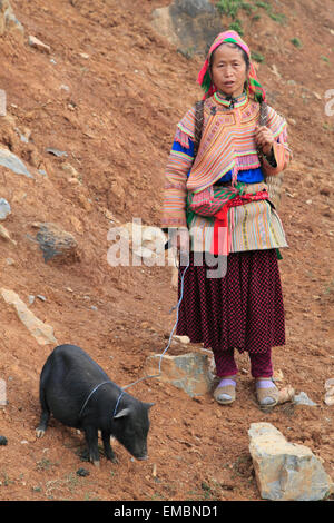 Il Vietnam, Lao Cai provincia, può cau, Mercato della tribù della collina di persone, donna con maialino, flower hmong, Foto Stock