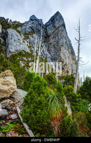 Nicoles ago - Franklin-Gordon Wild Rivers National Park - Tasmania - Australia Foto Stock