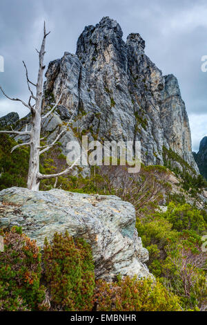 Nicoles ago - Franklin-Gordon Wild Rivers National Park - Tasmania - Australia Foto Stock