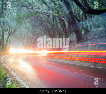 Auto sentieri di luce sulla strada forestale Foto Stock
