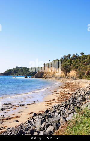 Paesaggi costieri a Cape Liptrap Parco Costiero Victoria Australia Foto Stock