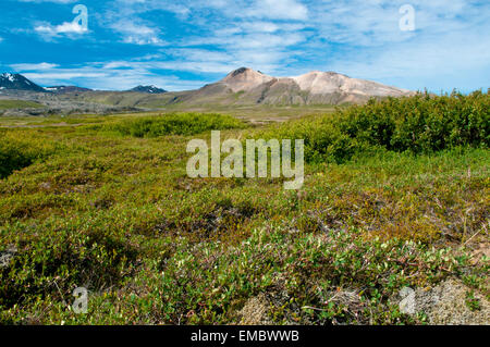 Snaefellsjökull National Park a nord-ovest di Reykjavik in Occidente l'Islanda Foto Stock