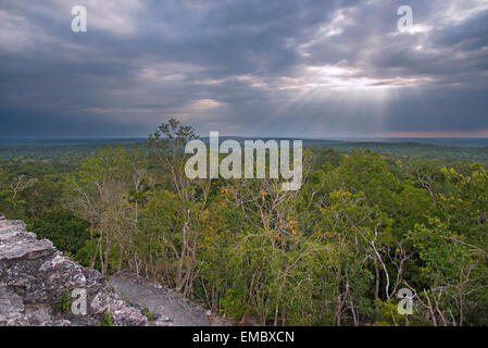 Vista dalla cima La Danta Piramide di El Mirador, Guatemala Foto Stock