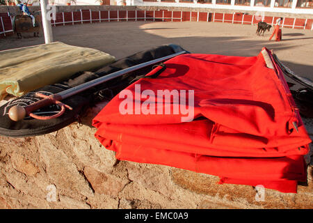 Corrida di formazione giorno per selezionare gli animali di razza braves tori da combattimento Foto Stock